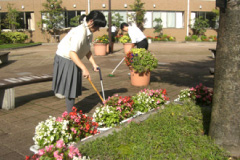 校内緑化活動写真02